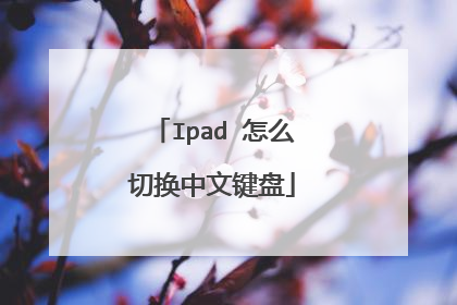 Ipad 怎么切换中文键盘