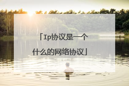 Ip协议是一个什么的网络协议