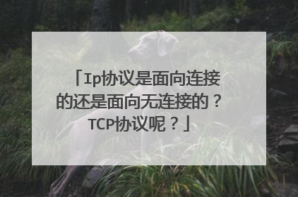 Ip协议是面向连接的还是面向无连接的？TCP协议呢？