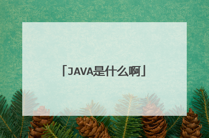 JAVA是什么啊