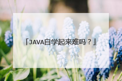 JAVA自学起来难吗？