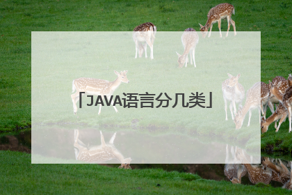 JAVA语言分几类