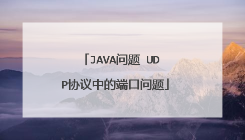 JAVA问题 UDP协议中的端口问题