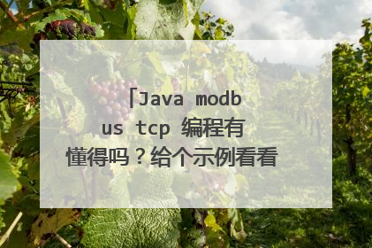 Java modbus tcp 编程有懂得吗？给个示例看看。。。十分感谢。