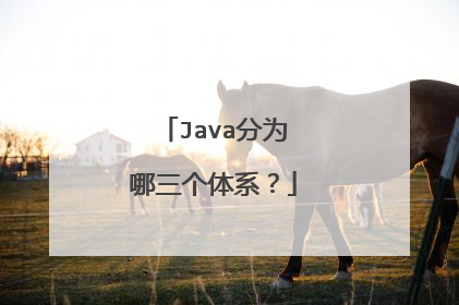 Java分为哪三个体系？
