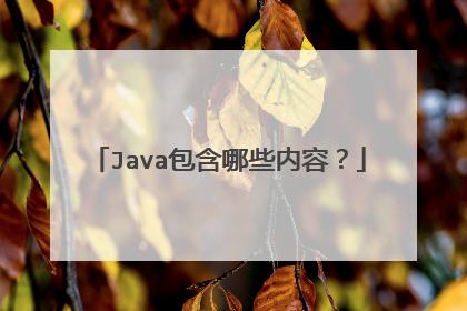 Java包含哪些内容?