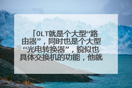 OLT就是个大型“路由器”，同时也是个大型“光电转换器”，貌似也具体交换机的功能，他就是个“光缆中