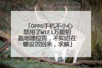 OPPO手机不小心禁用了WiFi万能钥匙地理位置,不知道在哪设置回来,求解
