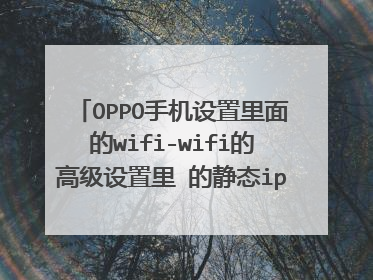 OPPO手机设置里面的wifi-wifi的高级设置里 的静态ip怎么修改 把wifi变快 浙江省的