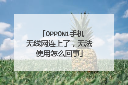 OPPON1手机无线网连上了,无法使用怎么回事