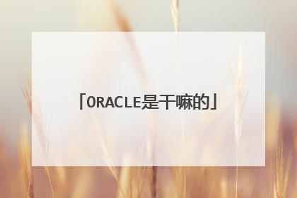 ORACLE是干嘛的