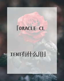 ORACLE CLIENT有什么用