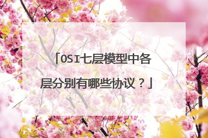 OSI七层模型中各层分别有哪些协议？