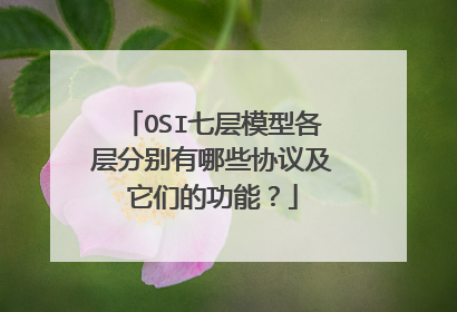 OSI七层模型各层分别有哪些协议及它们的功能?