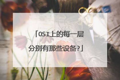 OSI上的每一层分别有那些设备?