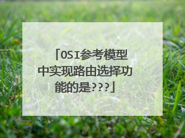 OSI参考模型中实现路由选择功能的是???