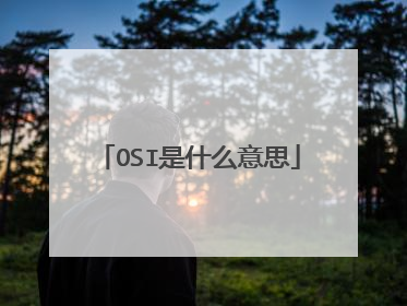 OSI是什么意思