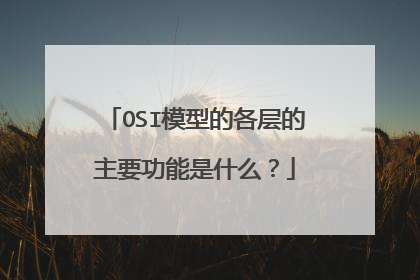 OSI模型的各层的主要功能是什么？