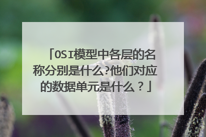 OSI模型中各层的名称分别是什么?他们对应的数据单元是什么？