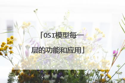 OSI模型每一层的功能和应用