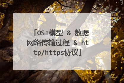 OSI模型 & 数据网络传输过程 & http/https协议