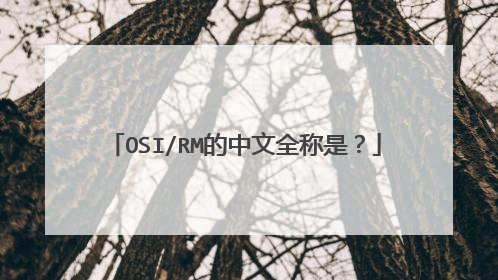 OSI/RM的中文全称是？