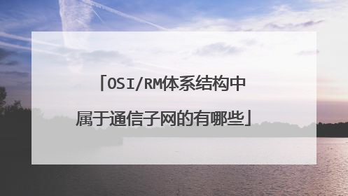 OSI/RM体系结构中属于通信子网的有哪些