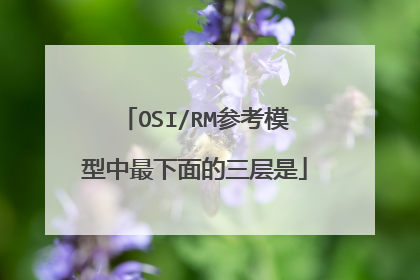 OSI/RM参考模型中最下面的三层是