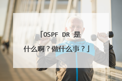 OSPF DR 是什么啊？做什么事？