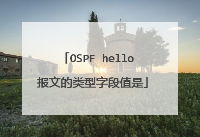 OSPF hello报文的类型字段值是