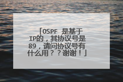 OSPF 是基于IP的,其协议号是89,请问协议号有什么用??谢谢!