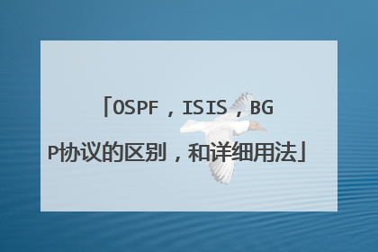 OSPF，ISIS，BGP协议的区别，和详细用法