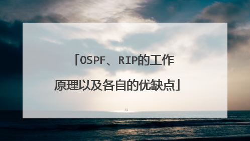 OSPF、RIP的工作原理以及各自的优缺点