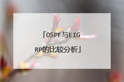 OSPF与EIGRP的比较分析