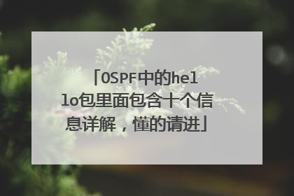 OSPF中的hello包里面包含十个信息详解，懂的请进