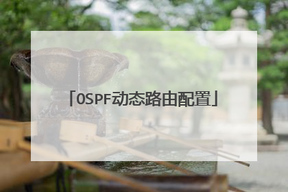 OSPF动态路由配置