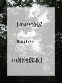 OSPF协议Router ID如何选取