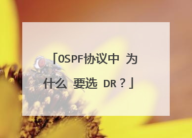 OSPF协议中 为什么 要选 DR？
