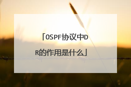 OSPF协议中DR的作用是什么