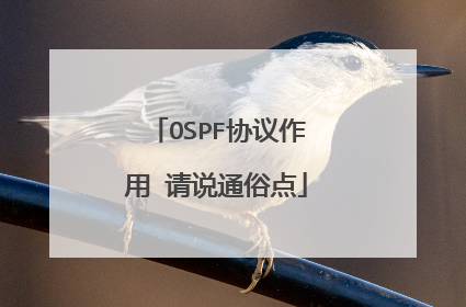 OSPF协议作用 请说通俗点