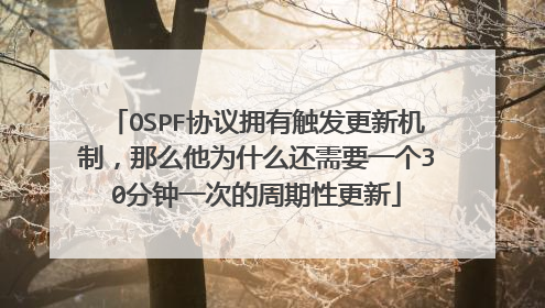 OSPF协议拥有触发更新机制,那么他为什么还需要一个30分钟一次的周期性更新
