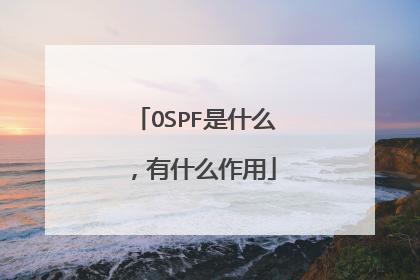 OSPF是什么,有什么作用