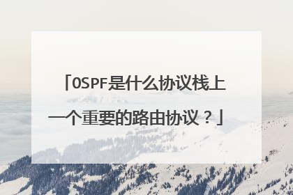 OSPF是什么协议栈上一个重要的路由协议？