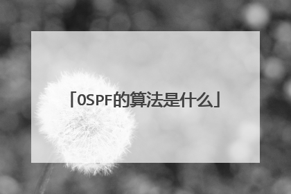 OSPF的算法是什么
