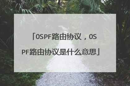 OSPF路由协议，OSPF路由协议是什么意思