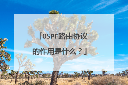 OSPF路由协议的作用是什么？
