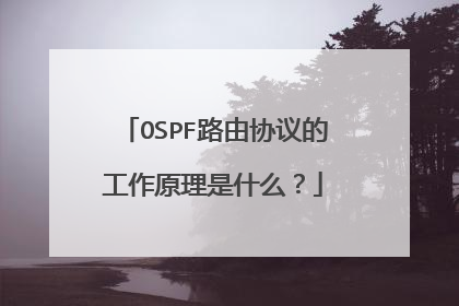 OSPF路由协议的工作原理是什么?