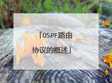 OSPF路由协议的概述