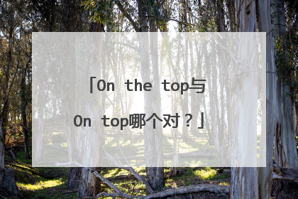 On the top与On top哪个对?