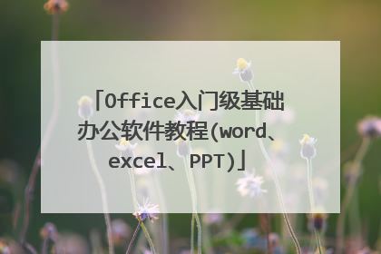 Office入门级基础办公软件教程(word、excel、PPT)
